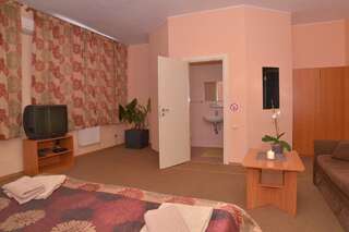 Отель Iveco Житомир Двухместный номер с 1 кроватью или 2 отдельными кроватями-14